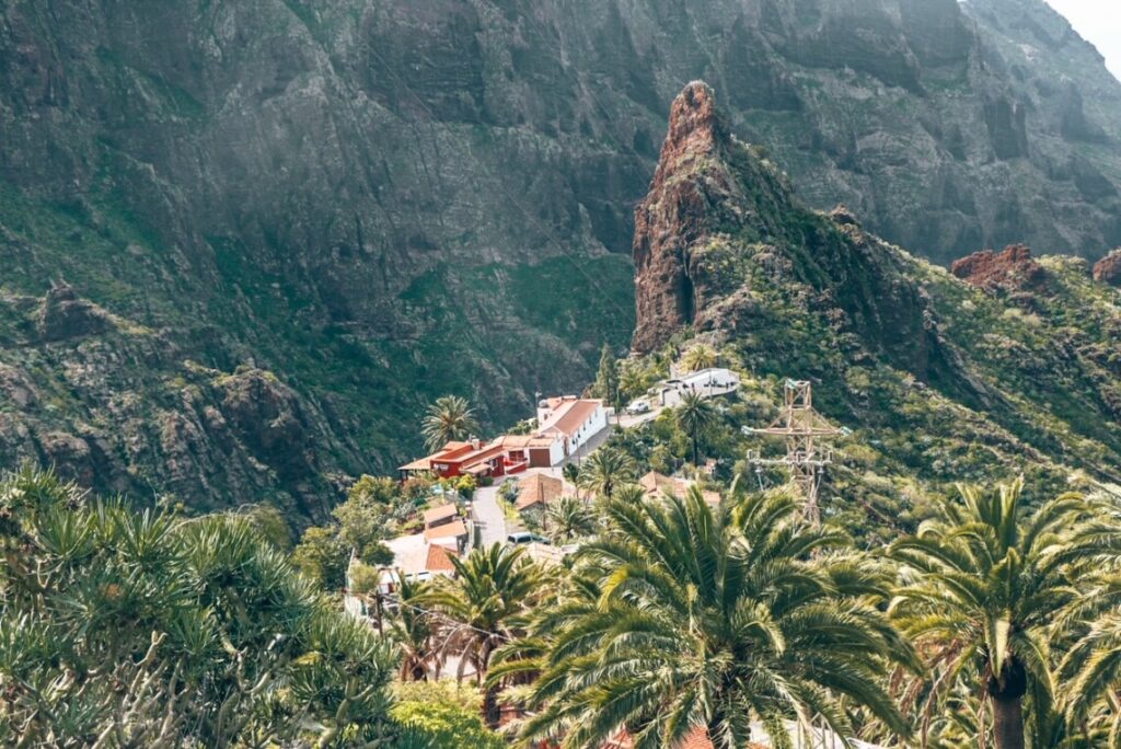 masca tenerife canary islands