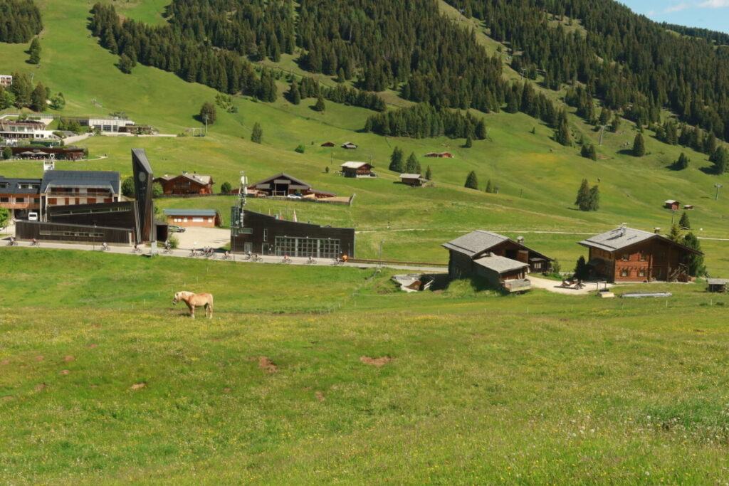 alpe di siusi in summer