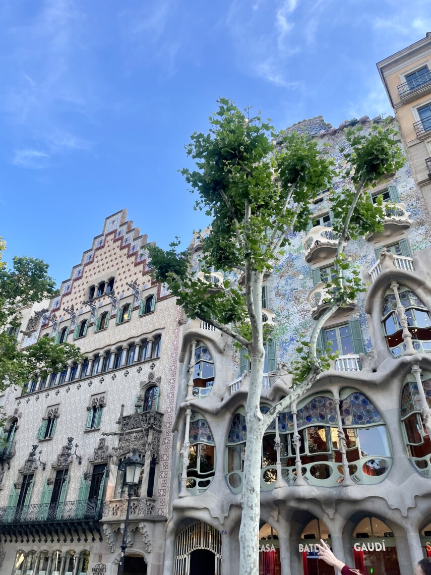 Barcelona & Spain