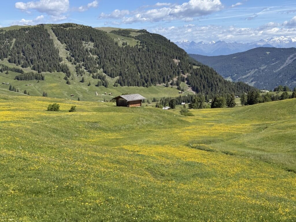 best time to visit alpe di siusi
