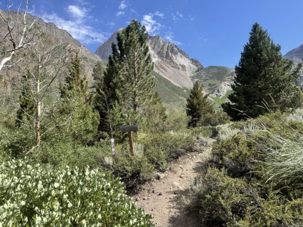 best time of year to visit mammoth