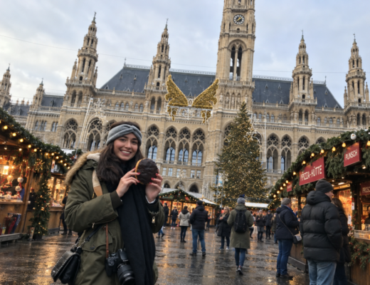 vienna christmas markets