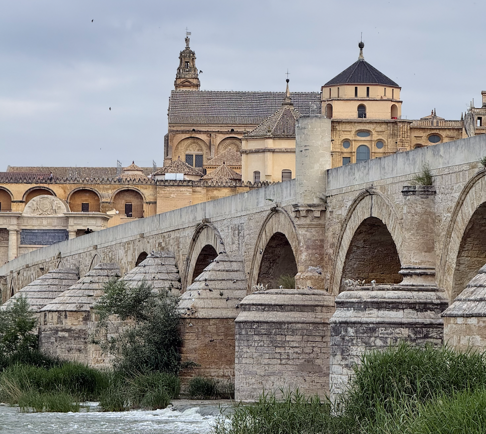 12 Best Day Trips from Málaga, Spain: Exploring Andalucia