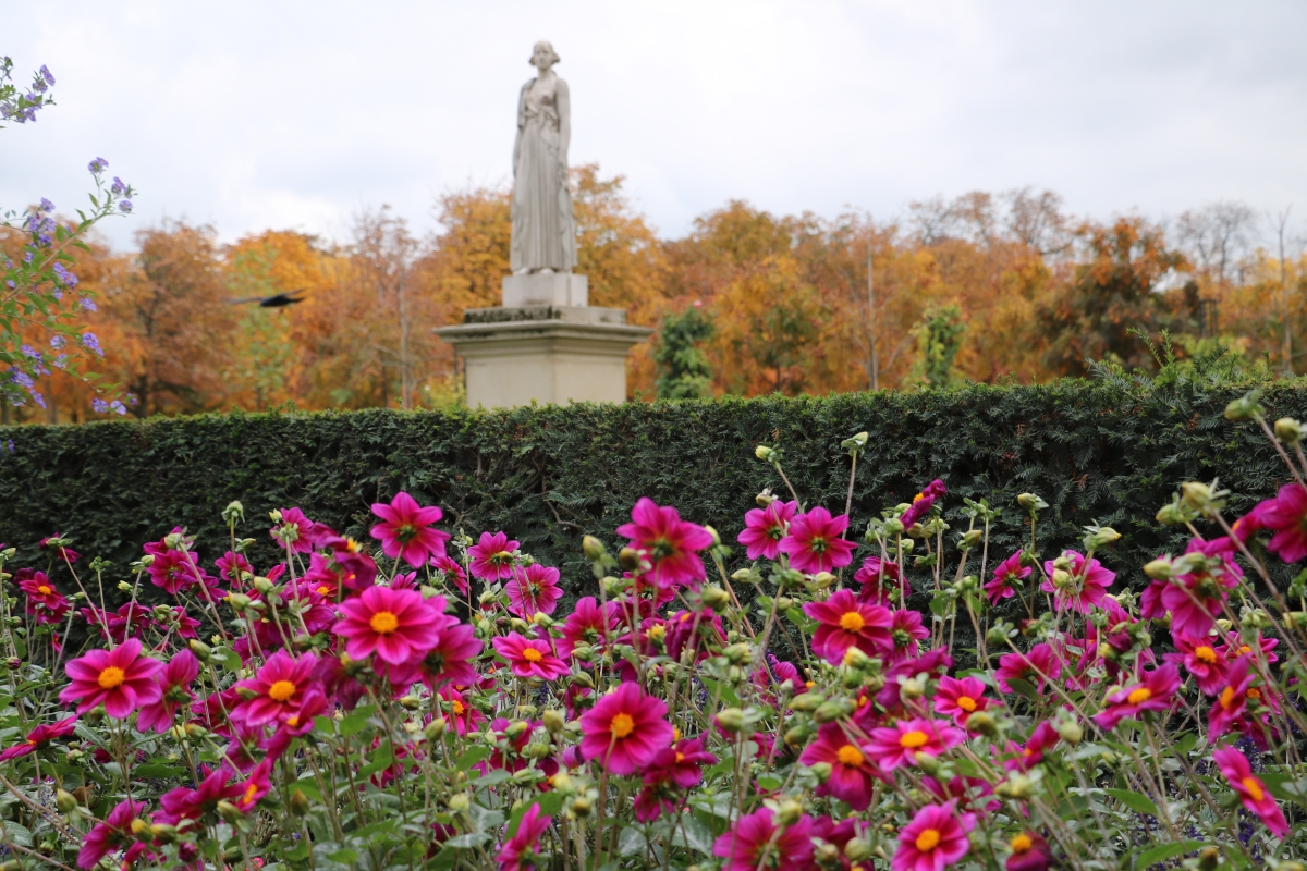 park in paris