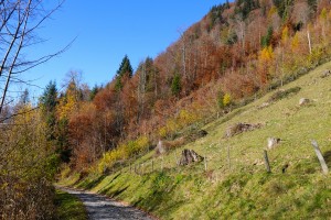 Nature walks outside Interlaken      