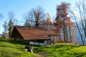 Hillside home      