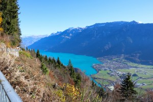 View of the Lake 