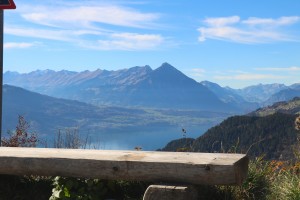 bench with a view     