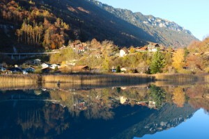 lake reflection 