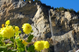 Lauterbrunnen waterfall        