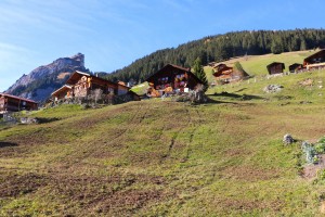 Alpine homes              