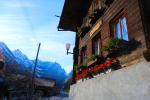 Alpine home            