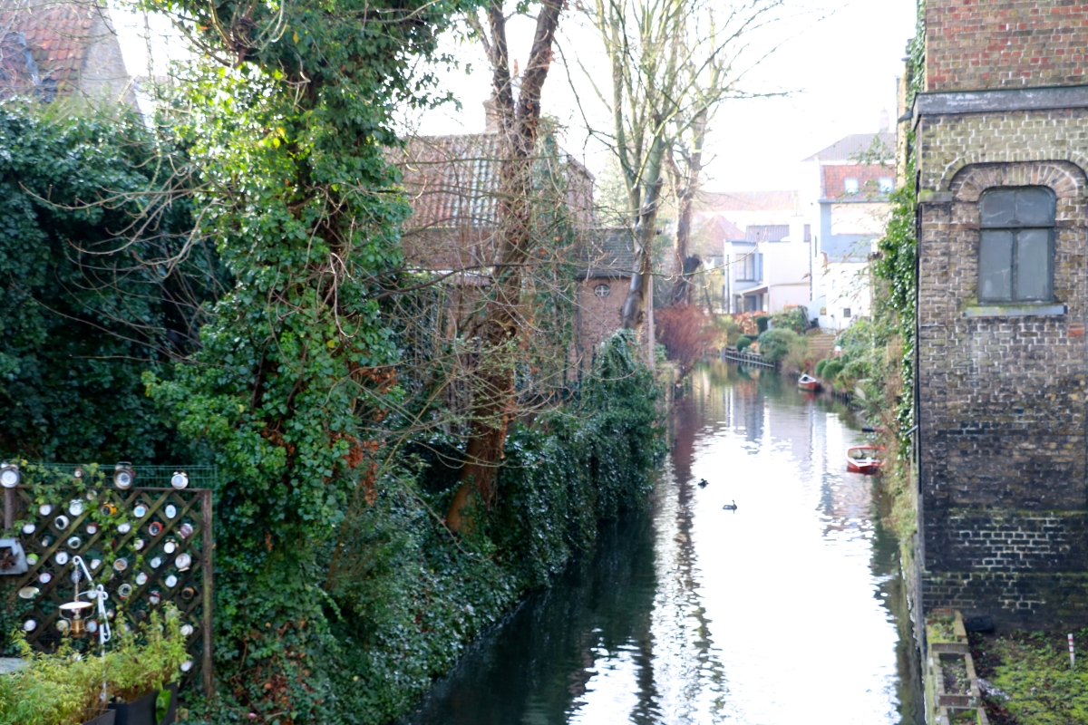 Trees line the canals while homes sit right on the water front