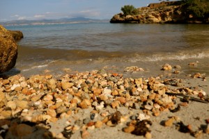 Cala Blava Beach #1 