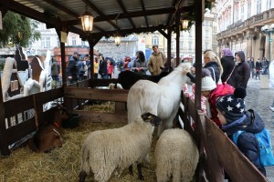 animal stall 